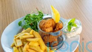 Scampi could vanish from menus without special fishing visas, ministers warned