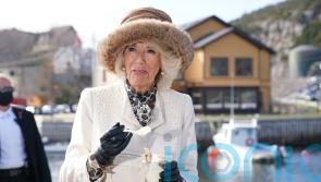 Camilla will want coronation menu free from chilli and garlic, her son says
