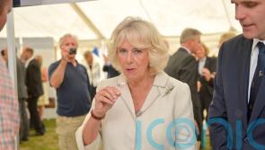 Camilla will want coronation menu free from chilli and garlic, her son says
