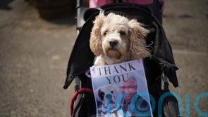 Paul O’Grady’s love of dogs celebrated with canine welcoming party at funeral