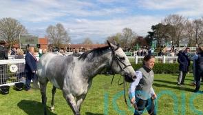 Garrus picks up deserved victory in Abernant Stakes