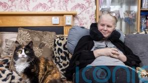 Cat who ‘saved’ diabetic owner’s life among finalists in National Cat Awards