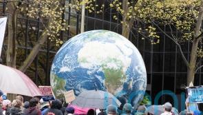Earth Day: 5 surprising things that might be harming the planet