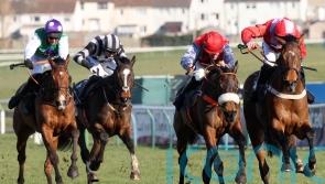 Scottish Grand National organisers not expecting animal rights protests