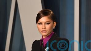 Zendaya officially unveiled as face of Louis Vuitton