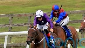 In-form Amo team mount dual assault on Fred Darling prize