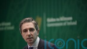 Garda Ombudsman revelations ‘a serious matter which needs to be probed’ – Harris