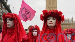 Chris Packham makes rallying call for more people to join Extinction Rebellion