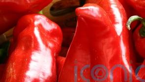 Supermarkets run out of peppers after cold snap in Spain