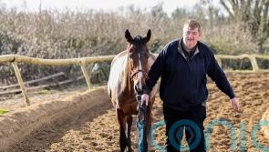 Hanlon set for late call on ground for Hewick at Punchestown