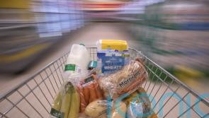 Grocery price inflation dips but ‘too soon to call the peak’