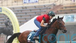 Marquand relishing Hong Kong challenge with Dubai Honour