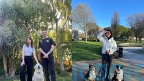 Couple travelling the world by house and dog-sitting in strangers’ homes say it’s the ‘best thing’ they have ever done
