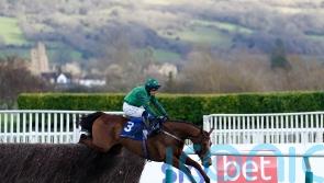 El Fabiolo looking to round off superb campaign in style