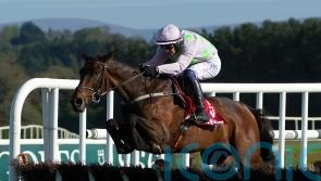 Gaelic Warrior takes three miles in his stride for emphatic success