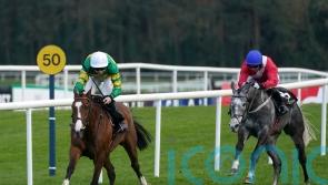 A Dream To Share does it again at Punchestown