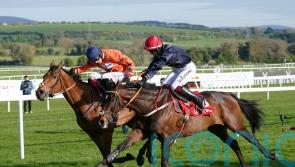 Fastorslow shocks Galopin Des Champs and Bravemansgame