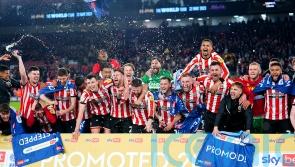 Sheffield United clinch Premier League return with victory over West Brom