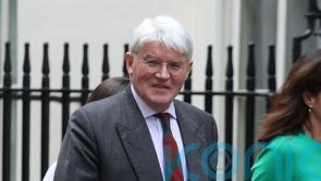 ‘Incredibly unlikely’ UK would leave human rights convention, says minister