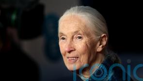 Jane Goodall ‘hopeful’ human intelligence will overcome climate crisis