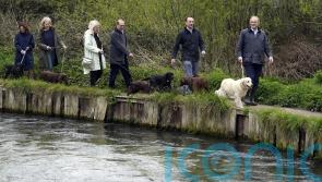 Ed Davey brands releasing sewage into waterways ‘a crime against nature’