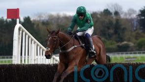 El Fabiolo strolls to victory to follow up Arkle success