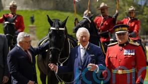 King presented with new royal horse and commemorative sword at Windsor Castle
