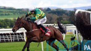 Impervious in a different league at Punchestown