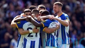 Brighton run riot to hammer Wolves and record biggest Premier League win