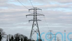Concerns raised with Sunak and Yousaf about power line planned across Highlands