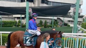 Dubai Honour third as Warrior steals show in QEII