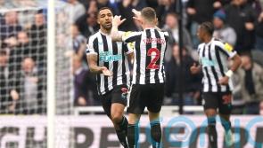 Substitute Callum Wilson’s brace helps Newcastle hit back to beat Southampton