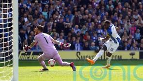 ‘Special’ Brighton boss Roberto De Zerbi is a joy to play for – Danny Welbeck