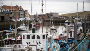 Lib Dems say fishing plan will hit coastal livelihoods