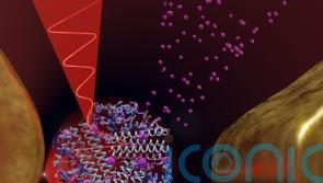 Study of single protein ‘paves way to improved understanding of disease’