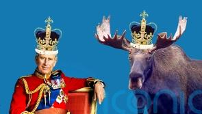 ‘Mischievous’ Canadian recalls making King ‘giggle’ with moose-themed art
