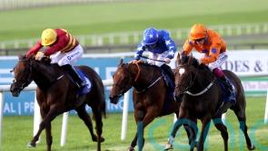 Gavin Cromwell sets sights on Nottingham with Sunset Shiraz