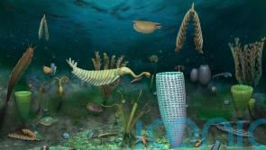 One of the world’s greatest fossil finds made in Wales