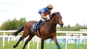 Paddington earns his crust in Tetrarch win