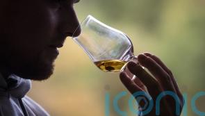 Adding too much water to whiskies can make them taste the same, study suggests