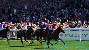 Bradsell returns in cracking Commonwealth Cup Trial
