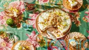 Andi Oliver’s coconut and lime cheesecake recipe