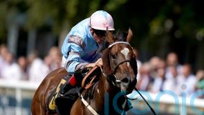 Astral Beau booked for Dahlia date