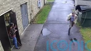 ‘A complete surprise’: Bear scares principal by jumping out of bin at US school