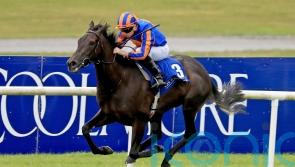 O’Brien keen to have another crack at Tahiyra with Meditate