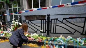 Serbs urged to lock up guns after eight killed in school shooting