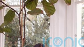 Presenter Alex Scott is named Garnier brand ambassador