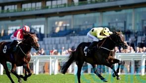 Sandy Lane option open for Commonwealth contender Cold Case