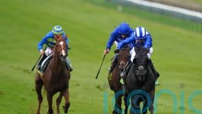 Mutasaabeq pointing towards Lockinge following Newmarket strike