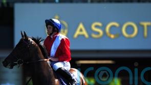 Twilight takes Palace test after lengthy absence
